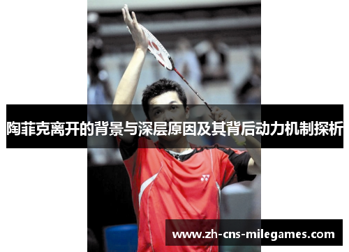 陶菲克离开的背景与深层原因及其背后动力机制探析